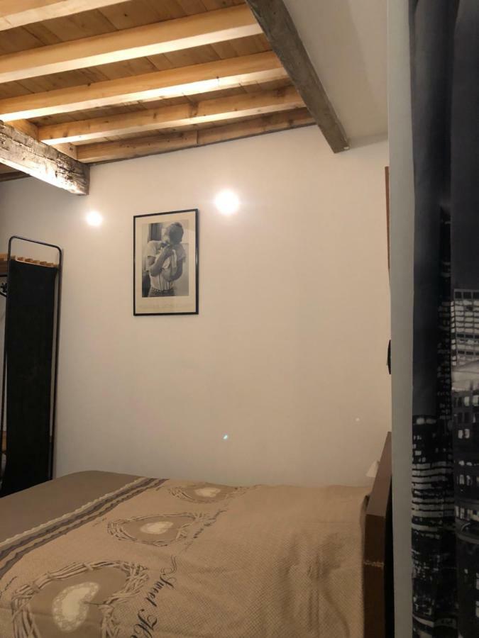 Lulu Philipp Cote Cour Apartment Saint-Etienne  Bagian luar foto